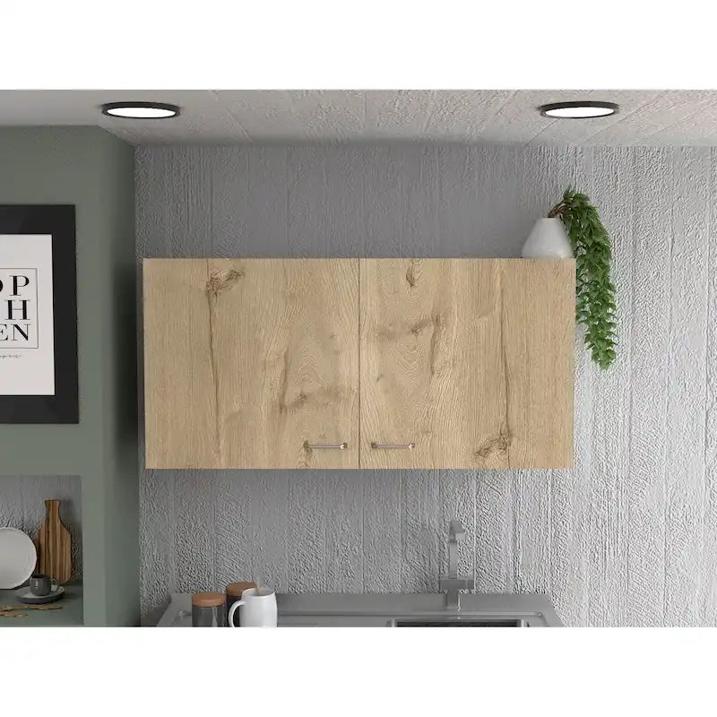 Wall Cabinet, Two Shelves, Double Door