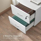 2-Schubladen-Aktenschrank - 16.9T x 17.5B x 28.3H
