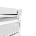 Mobile File Cabinet w/Lock,Metal Filing Cabinets for Office Organizer