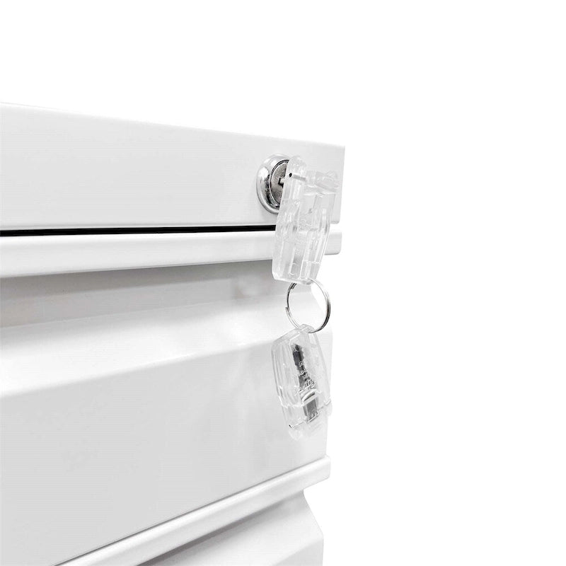 Mobile File Cabinet w/Lock,Metal Filing Cabinets for Office Organizer